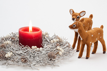 holiday greetings