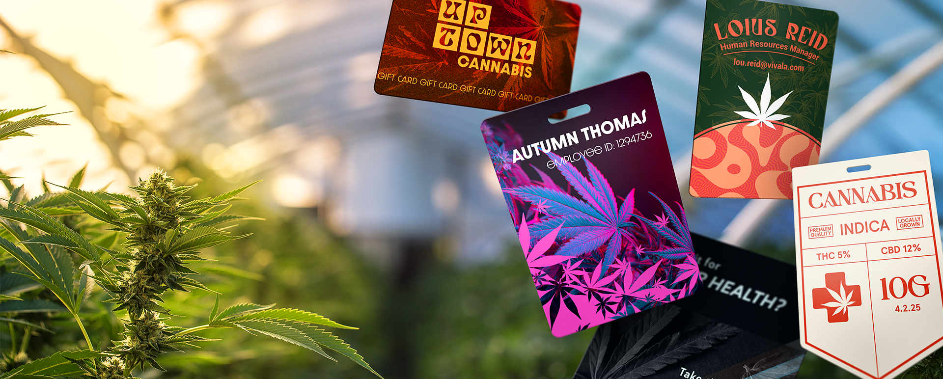 Cannabis Marketing