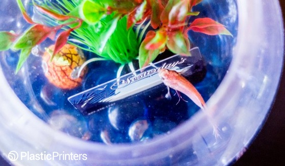 Waterproof Clear Business Card Yesterdays Fish Bowl