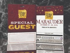 Special Guest Pass for Leaky Con - Writable Surface with Luggage Slot for Lanyard