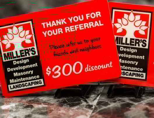 Example of rewards programs cards