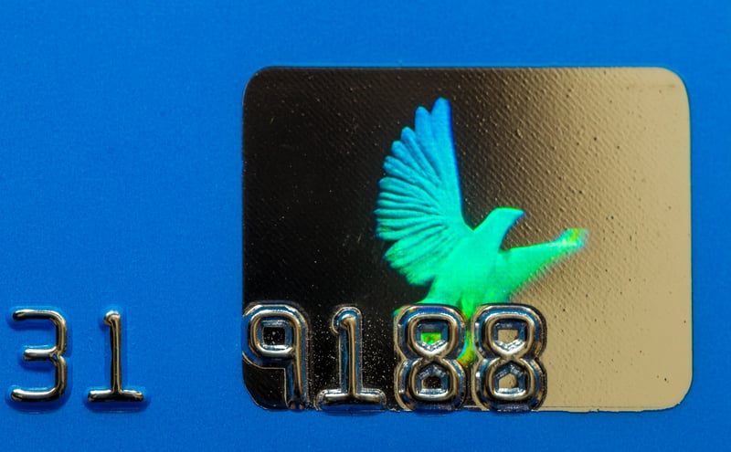 Faux Credit Card Styles with Foil Stamped Chip