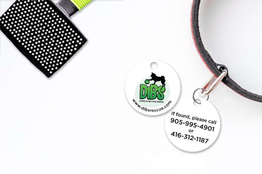 Custom dog tags can promote your pet business marketing