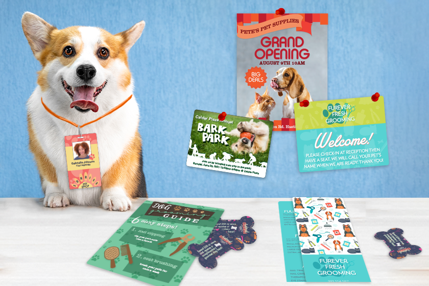 Custom Shaped Products for Pet Stores
