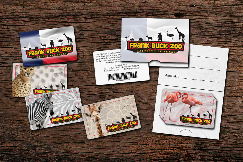 Zoo gift card and custom gift card holder