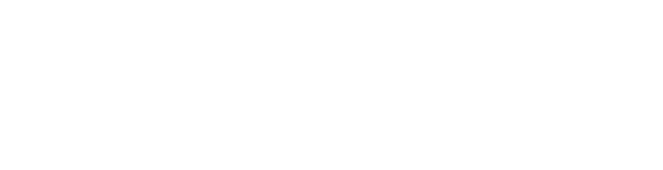 toast-logo-white