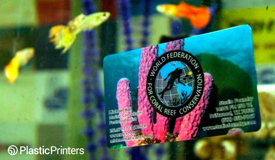 10 Brilliant Companies Using Waterproof Business Cards for Marketing