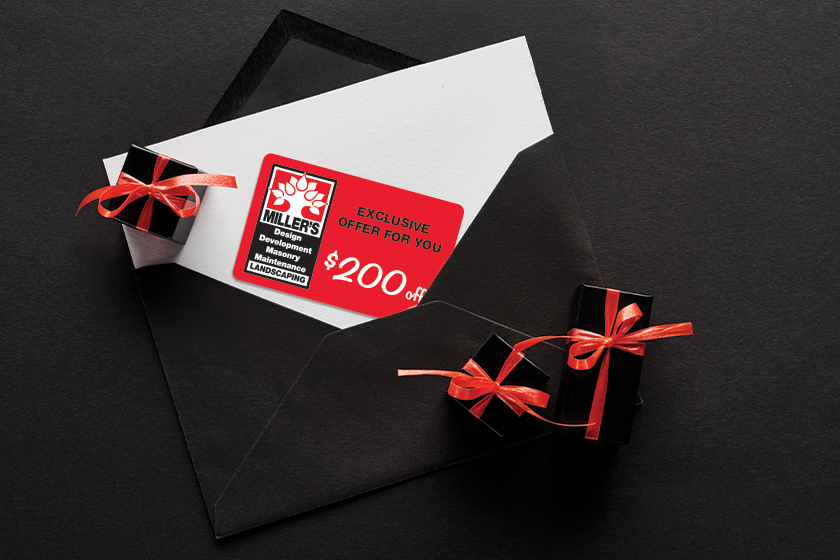 Promo cards are a great way to boost your holiday marketing