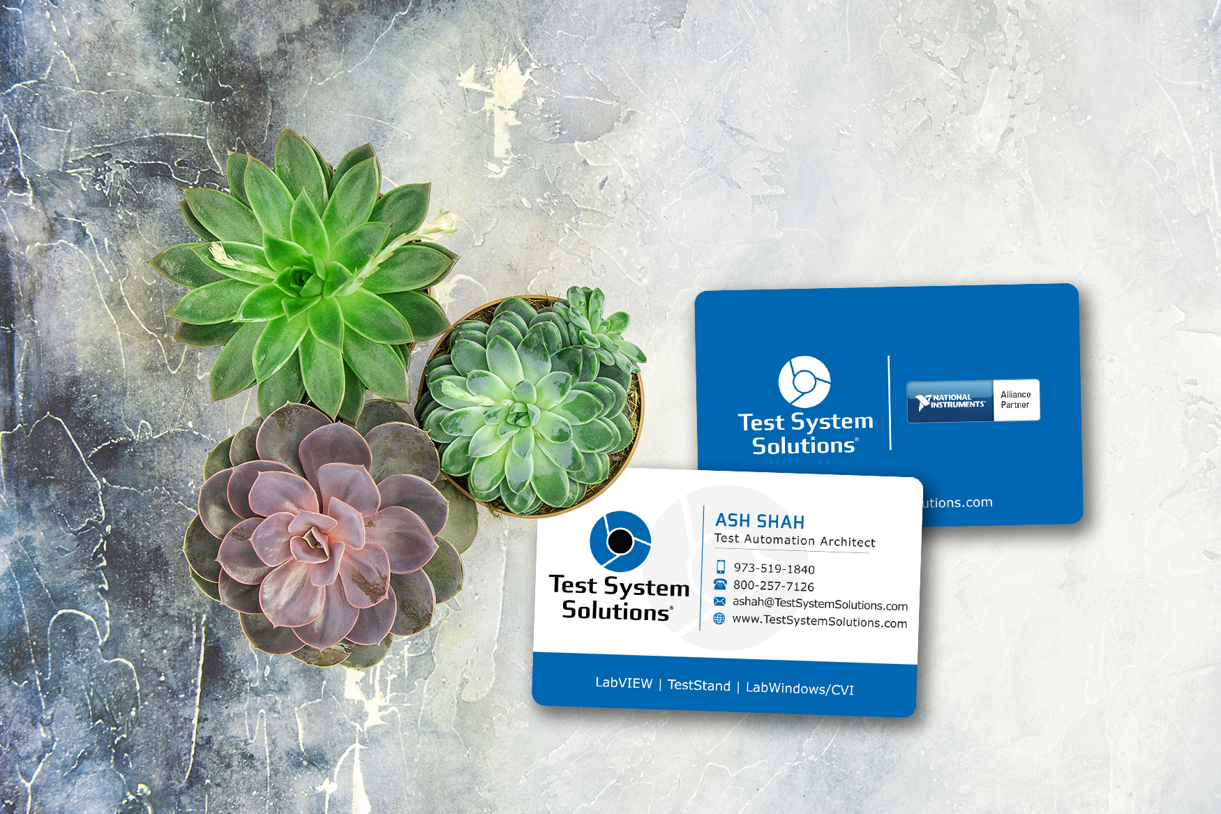 Test System Solutions Business Cards