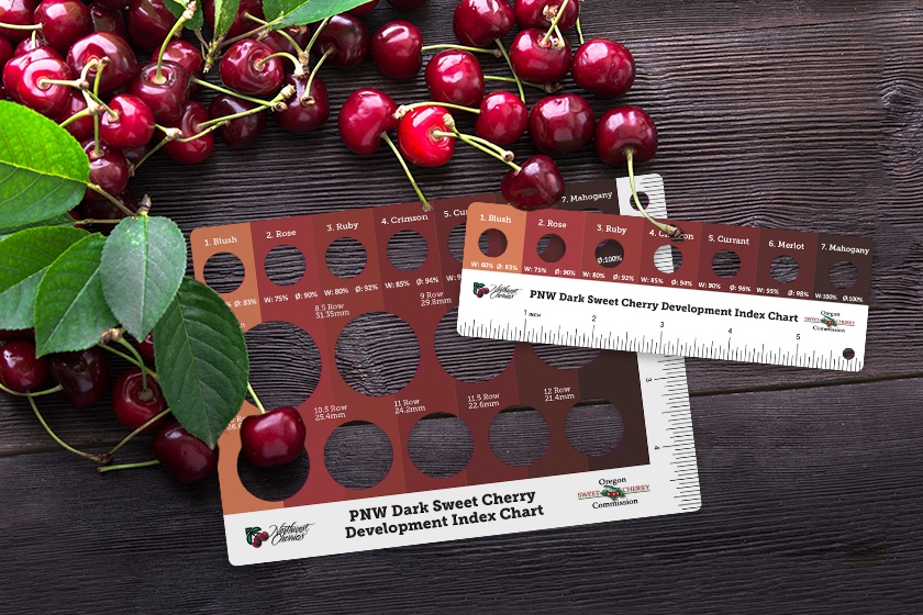 PNW Dark Sweet Cherry Development Index Chart