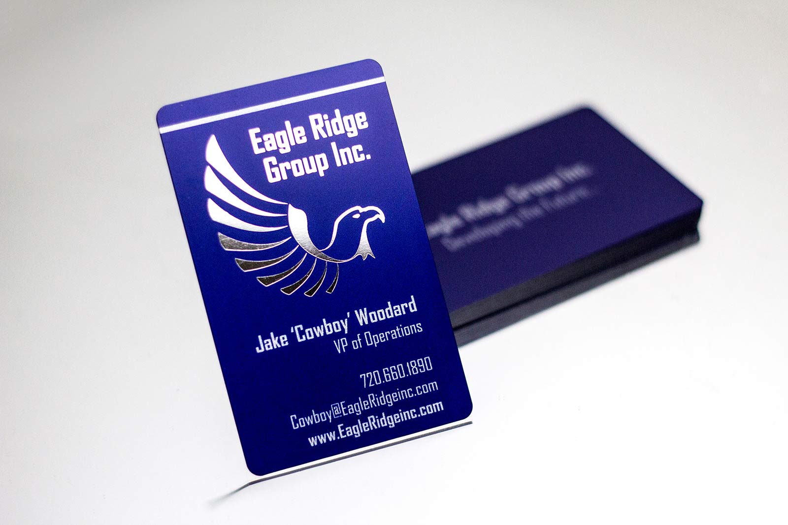 Eagle Ridge Group Inc Business Cards