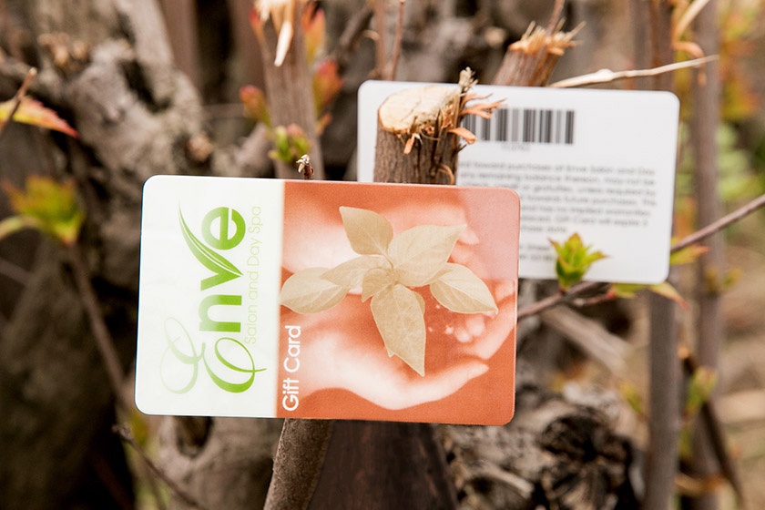Enve Salon and Day Spa Gift Cards