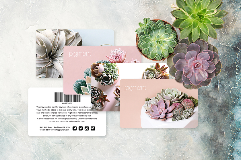 Pigment Store Gift Cards