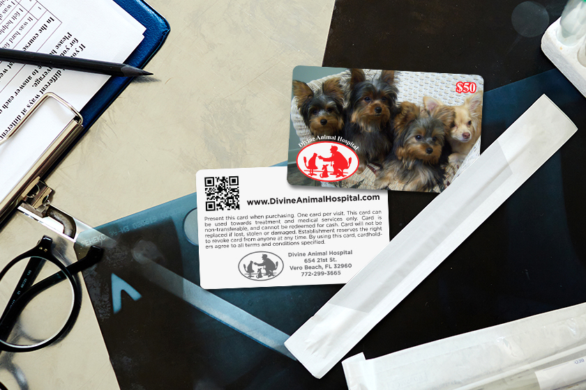 Divine Animal Hospital Gift Cards