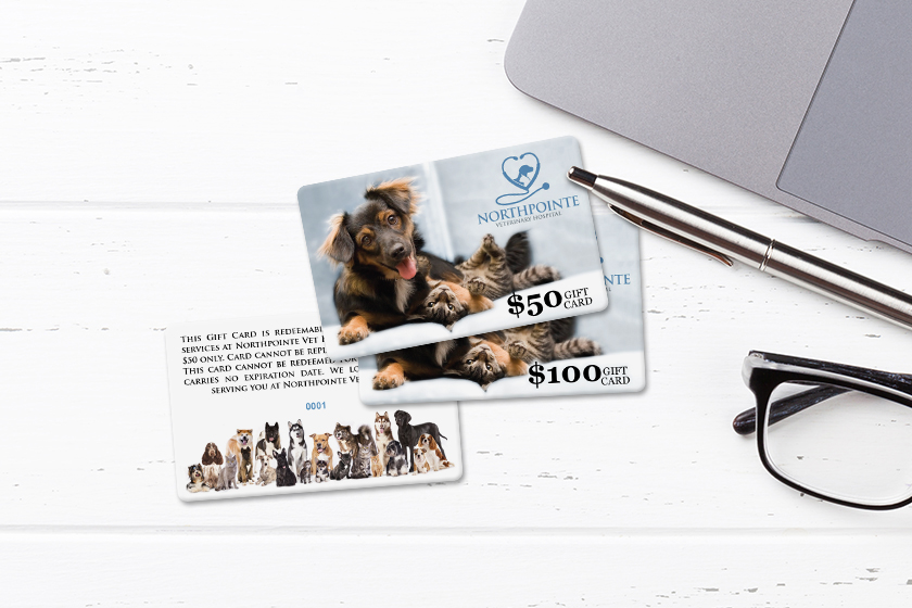 Northpointe Veterinary Hospital Gift Cards