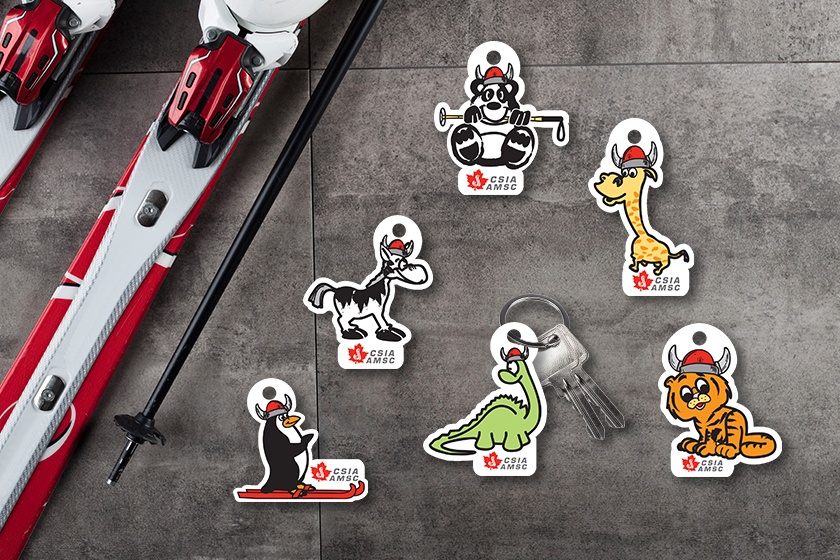 CSIA AMSC Die Cut Key Tags