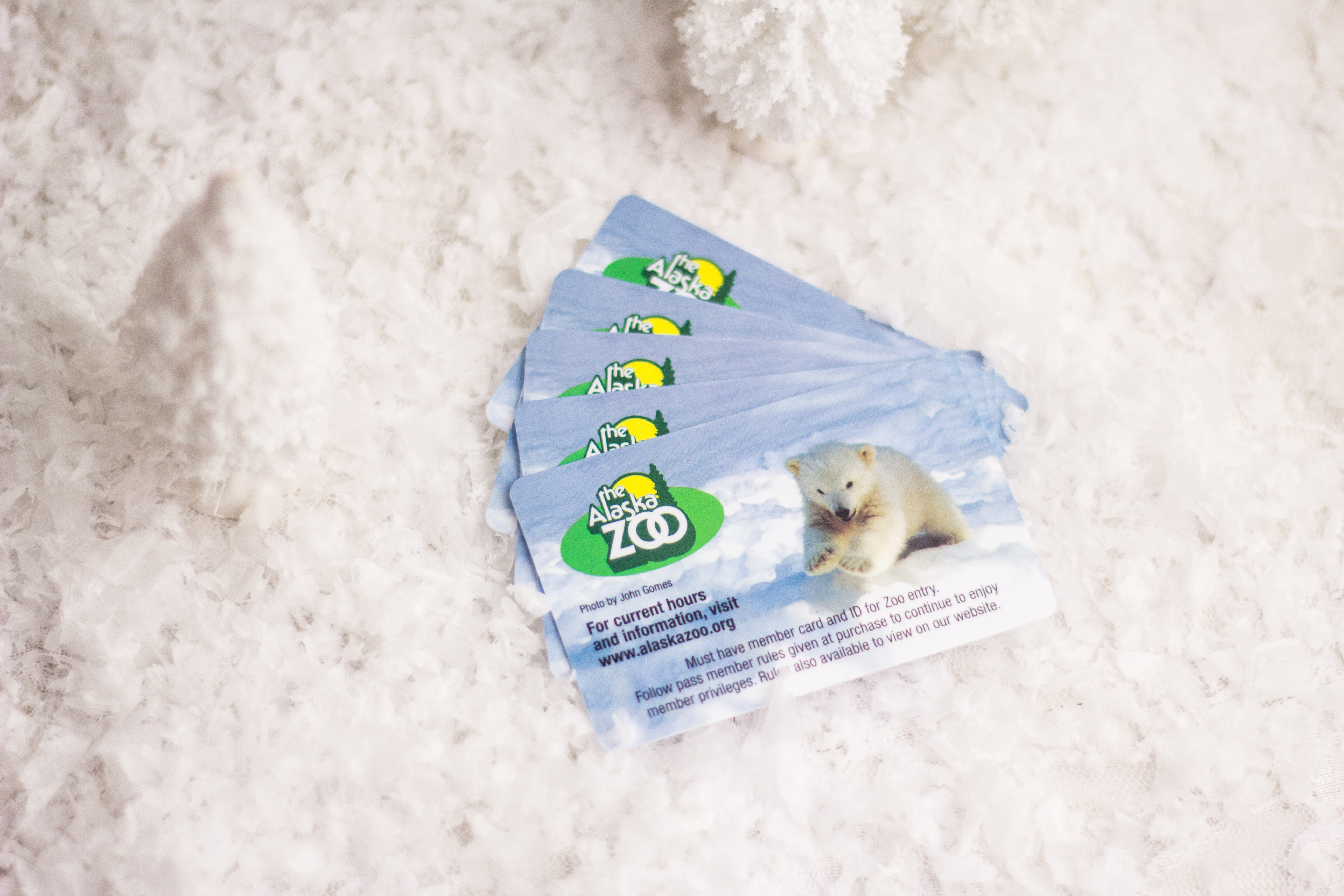 The Alaska Zoo Member Cards