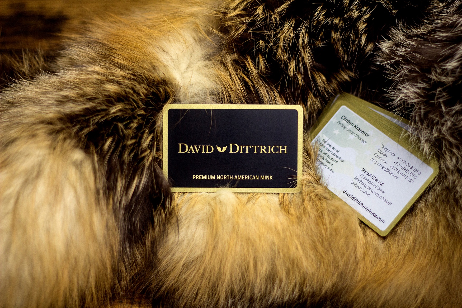 David Dittrich Metallic Gold Business Cards