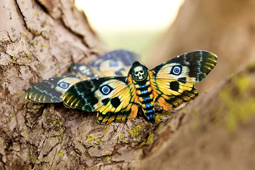 Paper Fauna Moth Die Cut Business Cards